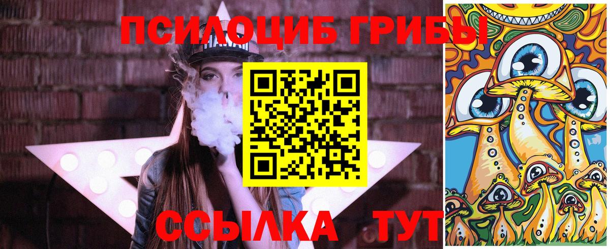 Псилоцибиновые грибы GOLDEN TEACHER  Галлюциногенные грибы мухоморы  Вход с VPN  Биробиджан 