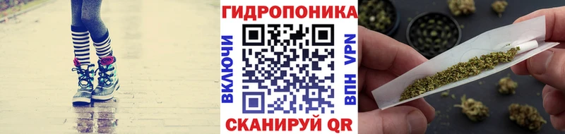 МАРИХУАНА ГИДРОПОН Биробиджан