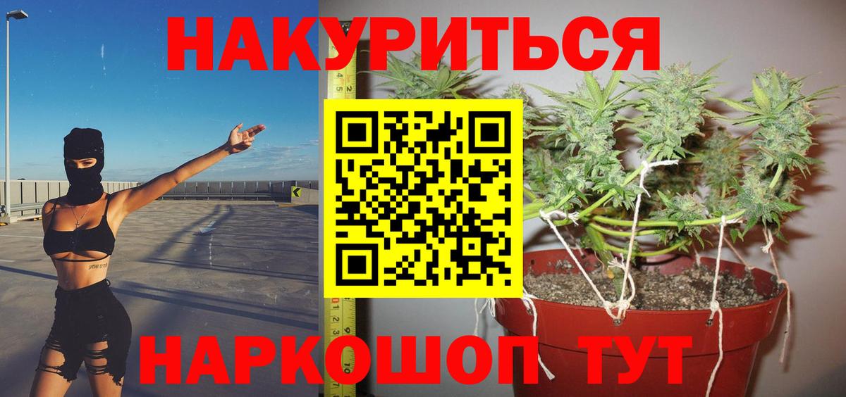 Канабис сатива  Конопля VHQ  Биробиджан  Вход с VPN  Шишки марихуана конопля  Каннабис White Widow 